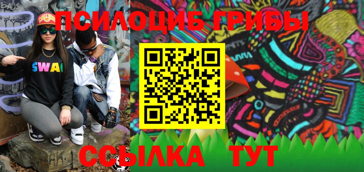 Балашиха  Псилоцибиновые грибы GOLDEN TEACHER  Галлюциногенные грибы Cubensis  купить наркоту  Вход с VPN 